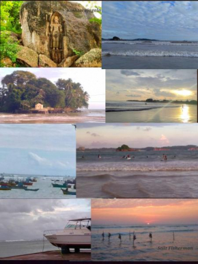 Swallow bird weligama 450 meters to the surfing beach